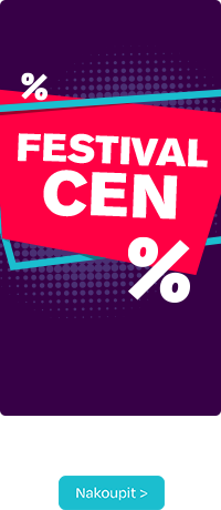 Fesival cen